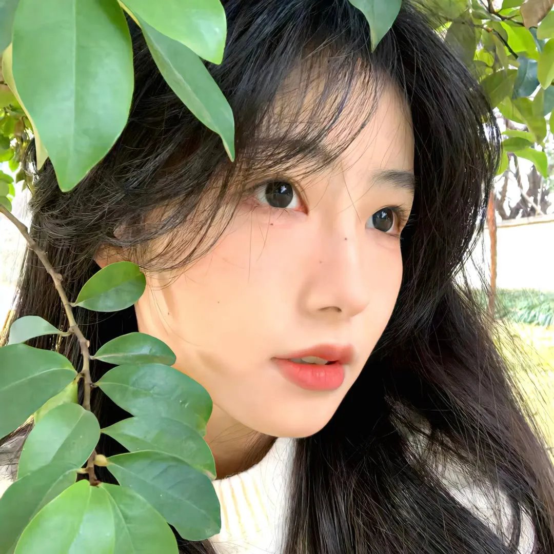 造主之声