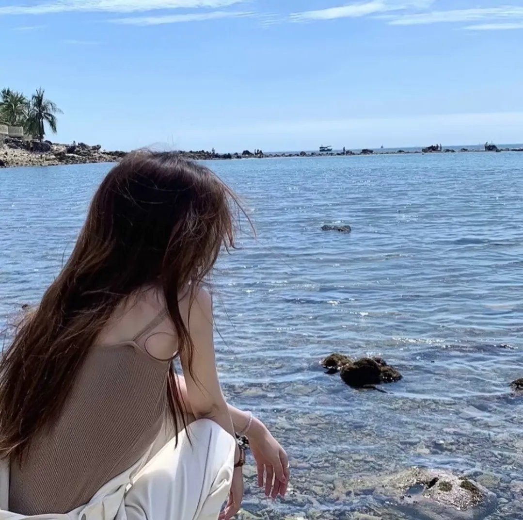 鲨笼潜水
